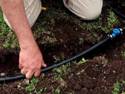 لوله دریپردار چیست و چگونه تولید میشود؟ - \ghsj,hdvhk