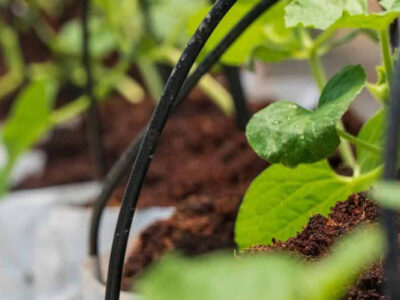 بهترین مواد اولیه جهت تولید نوار تیپ یا آبیاری قطره‌ای کدام است؟ - پلاستو ایران