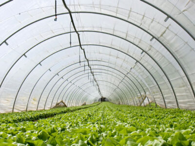 نایلون عریض چیست و کجا استفاده می‌شود؟ - پلاستوایران